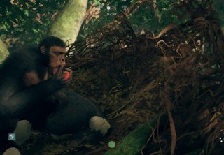 Как увеличить стаю в Ancestors: The Humankind Odyssey