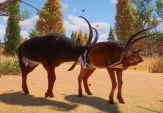 В Planet Zoo началось празднование Пасхи