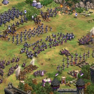 Скриншот Age of Empires 2