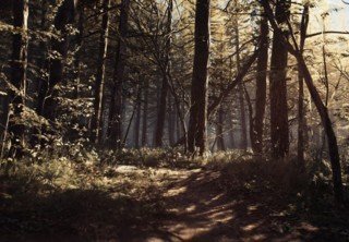Прохождение хоррора Blair Witch займет шесть часов