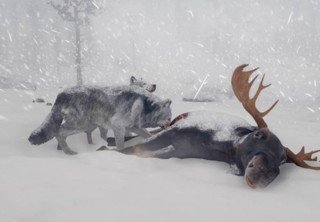 Сегодня в раннем доступе Steam выйдет игра Northern Lights