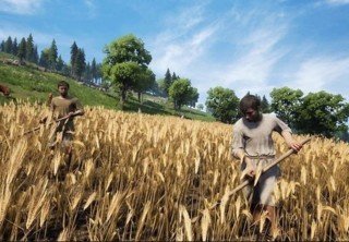 Гайд по фермерству в Medieval Dynasty