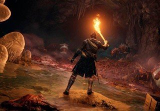 На прохождение Elden Ring уйдет примерно 30 часов
