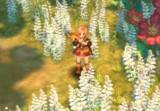 Новый класс в Tree of Savior сможет создавать музыку