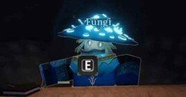 Магазин Гриба Фунги в Ковке: как найти, все товары