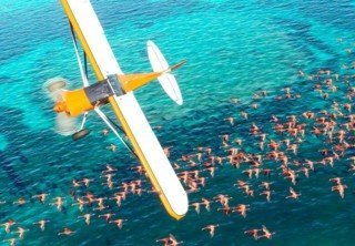 Названы системные требования Microsoft Flight Simulator