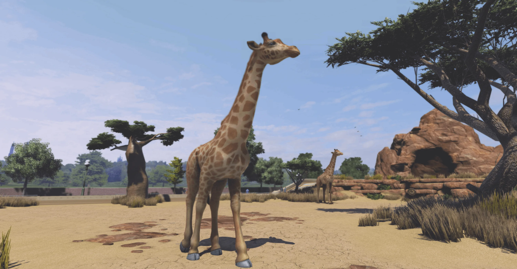 Анонсирована настольная игра – Zoo Tycoon.