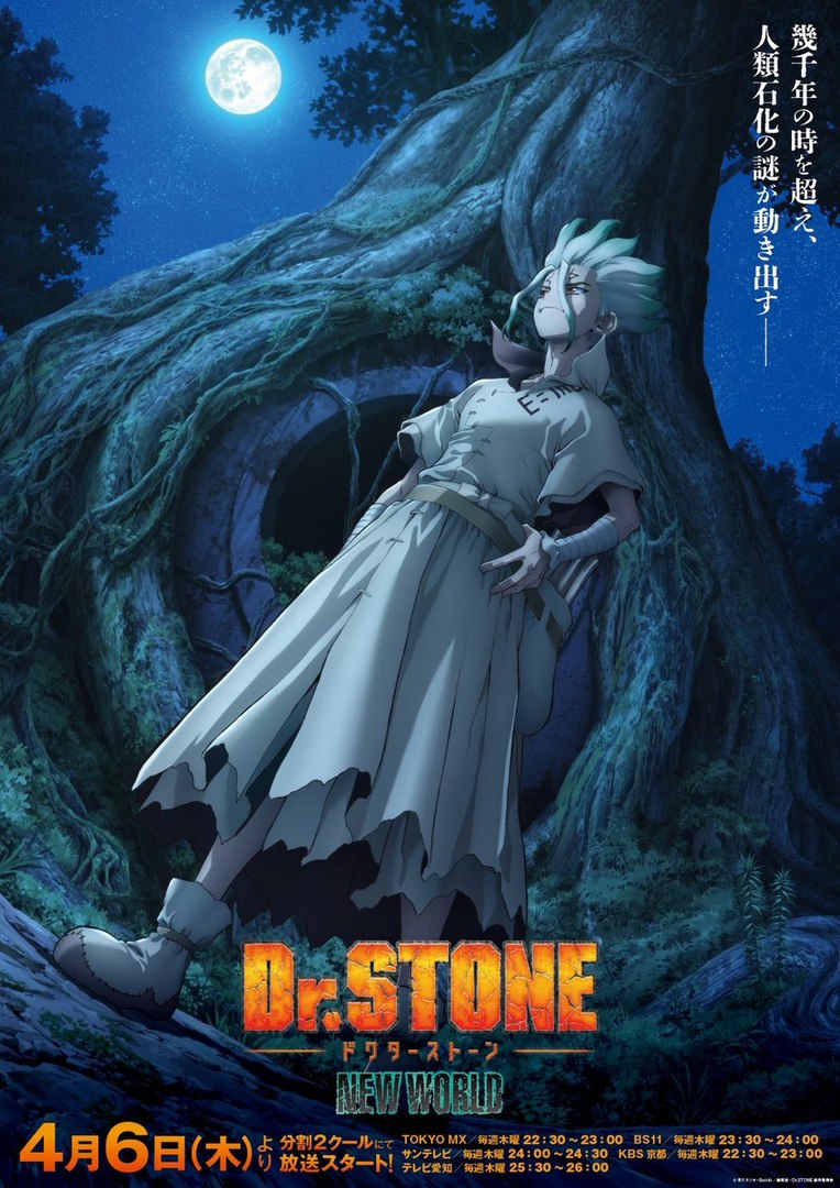 Опубликовали постер аниме «Доктор Стоун: Новый мир»