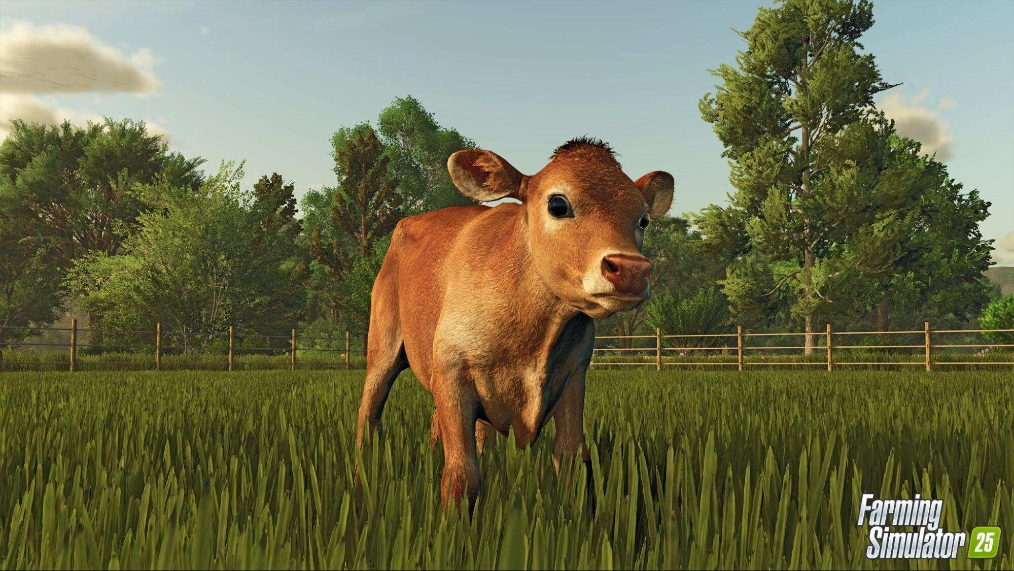 Интервью с разработчиками Farming Simulator 25 на Gamescom 2024