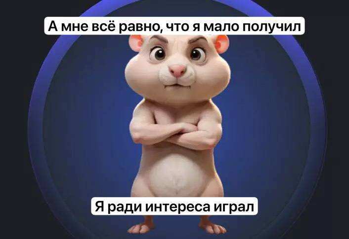 Листинг Hamster Kombat — мемы, шутки, юмор, боль