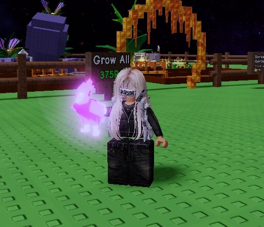 Все про дятла в Roblox Grow a Garden: что делает и как получить