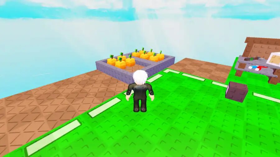 Советы для новичков в Roblox One Block