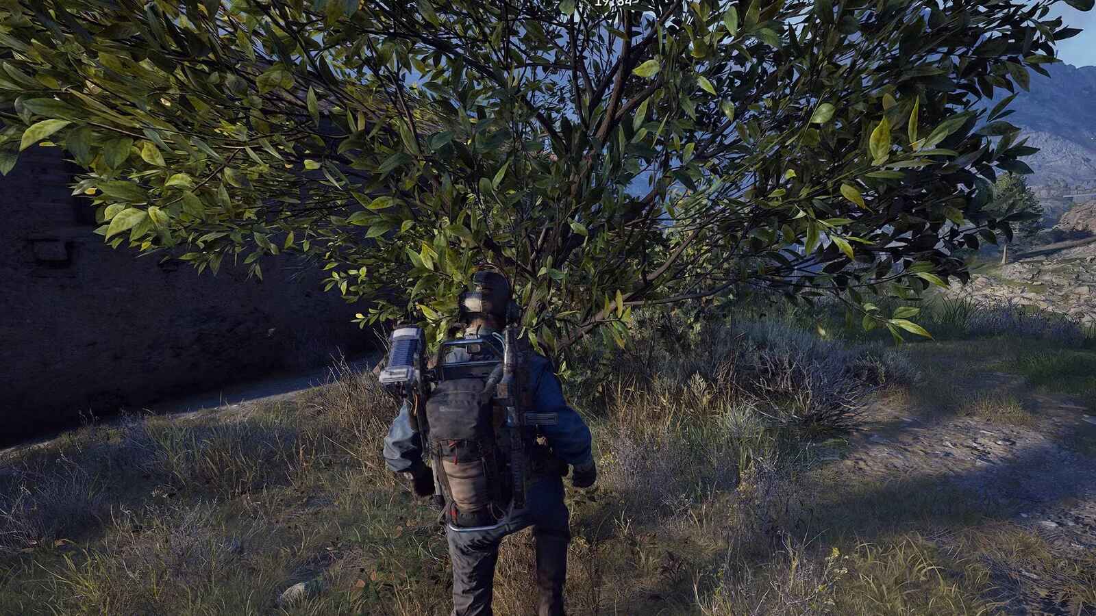 Оливки в ARC Raiders: где найти