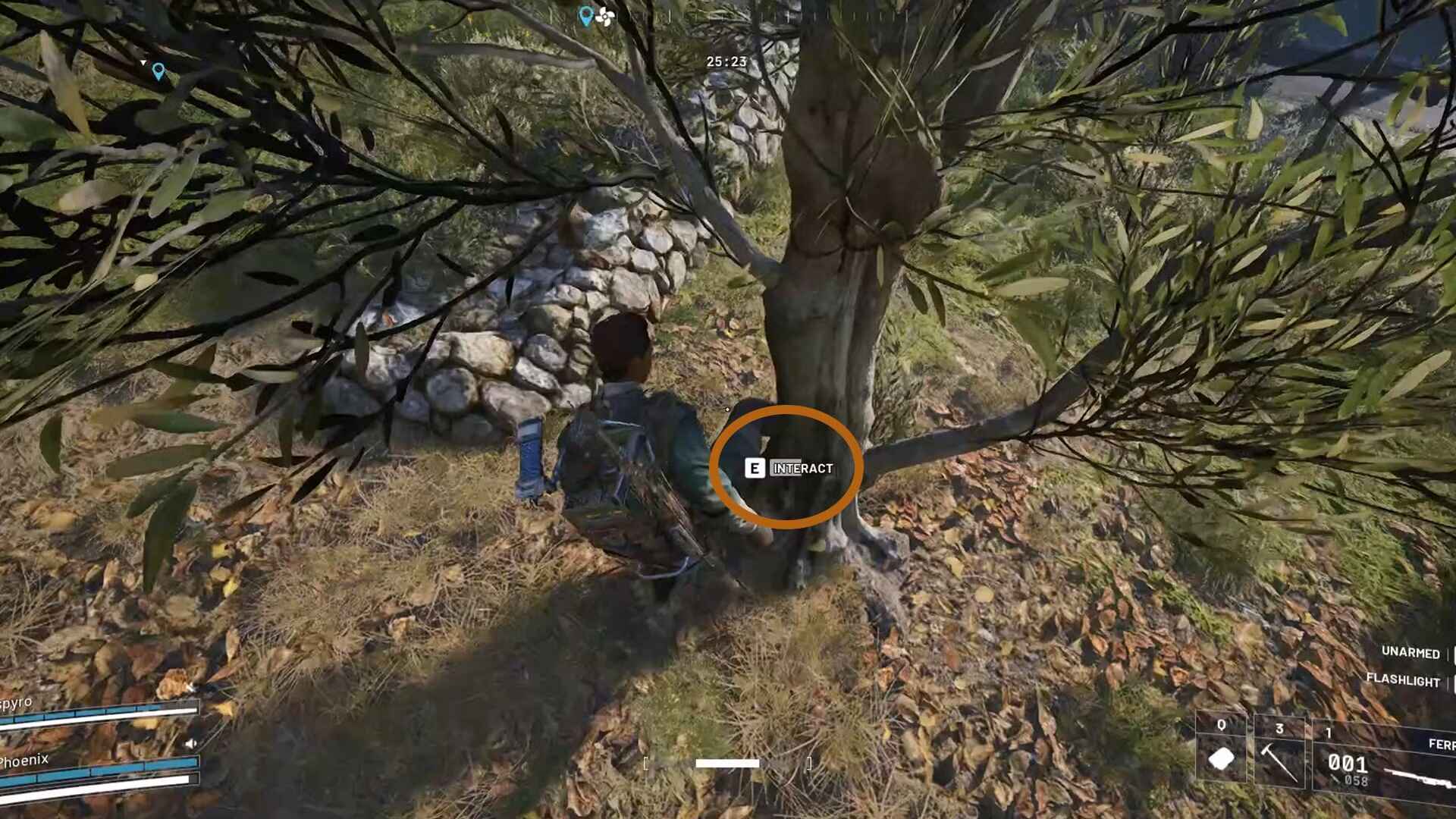 Оливки в ARC Raiders: где найти