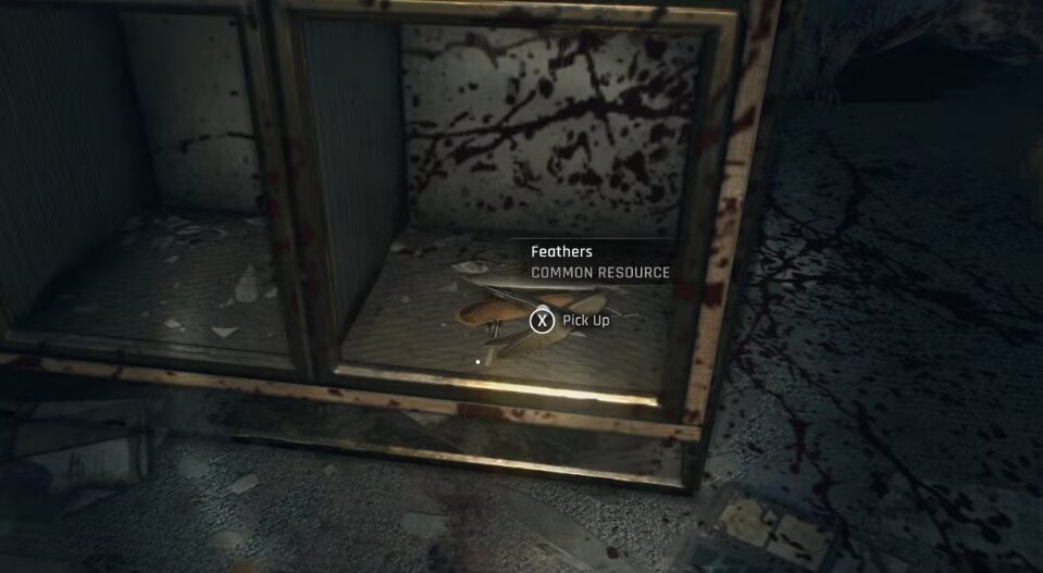 Перья в Dying Light The Beast: где найти