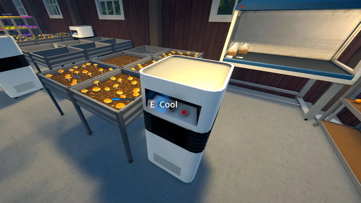 Грибы в Schedule 1: где взять и как выращивать