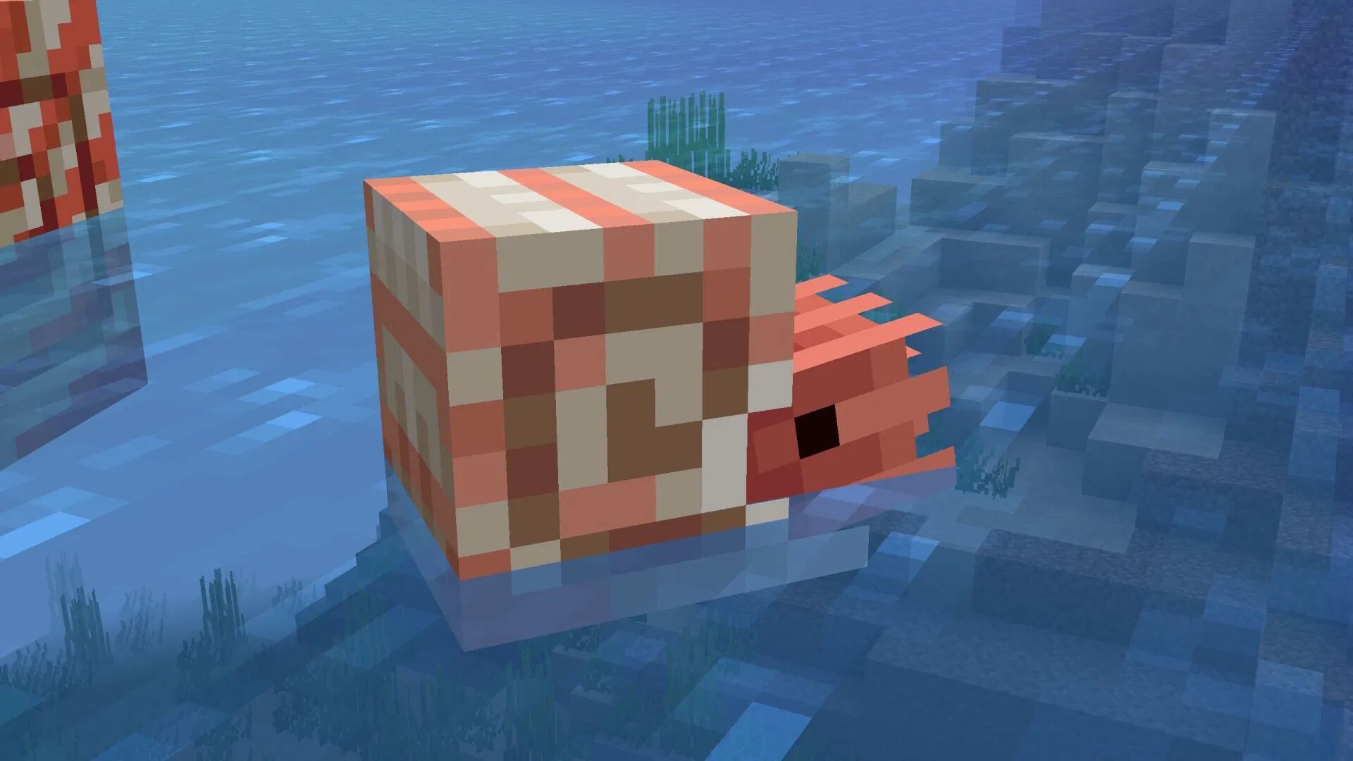 Наутилус в Minecraft: где найти, как приручить, что делает