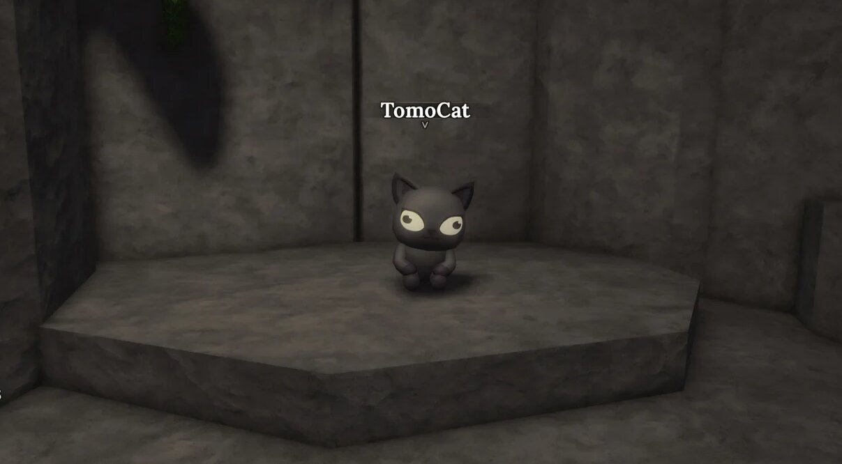 Кот Томо в The Forge: где найти