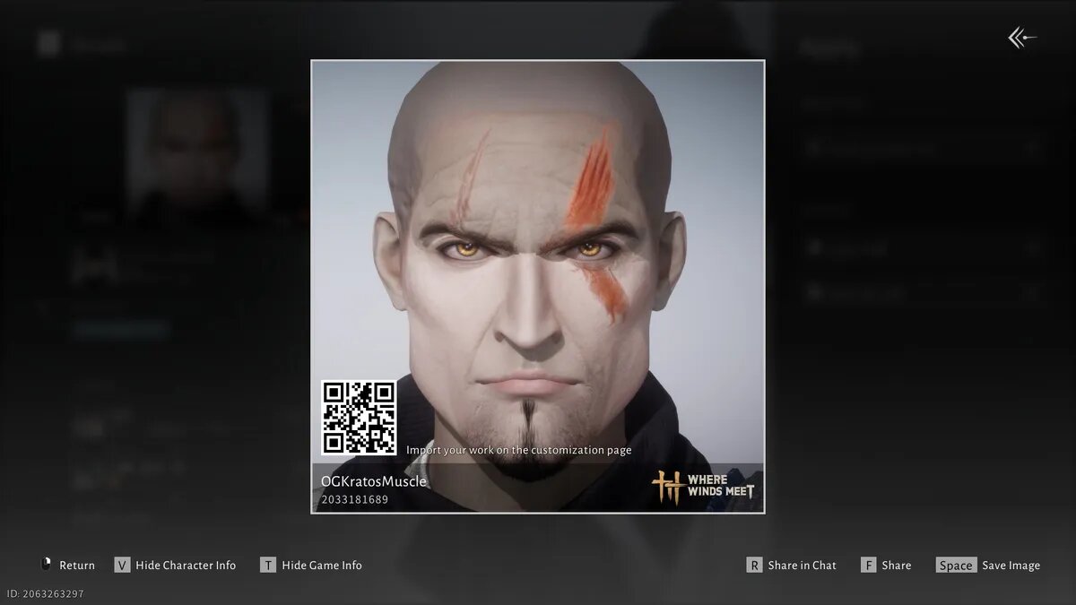 Коды кастомизации для Where Winds Meet: лучшие варианты