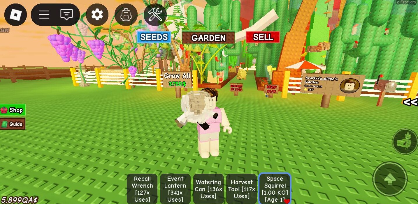Все про Космическую белку в Roblox Grow a Garden: что делает и как получить