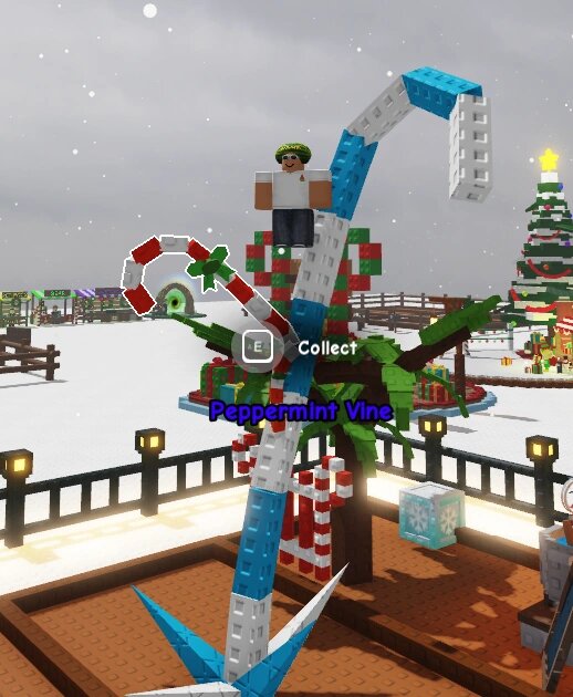 Все про Мятную лозу в Grow a Garden: что делает и как получить