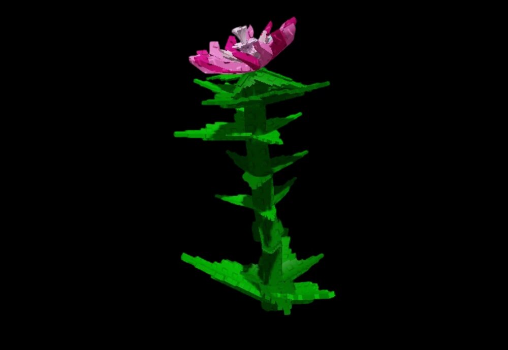 Все про розовобокий одуванчик в Roblox Grow a Garden: что делает и как получить