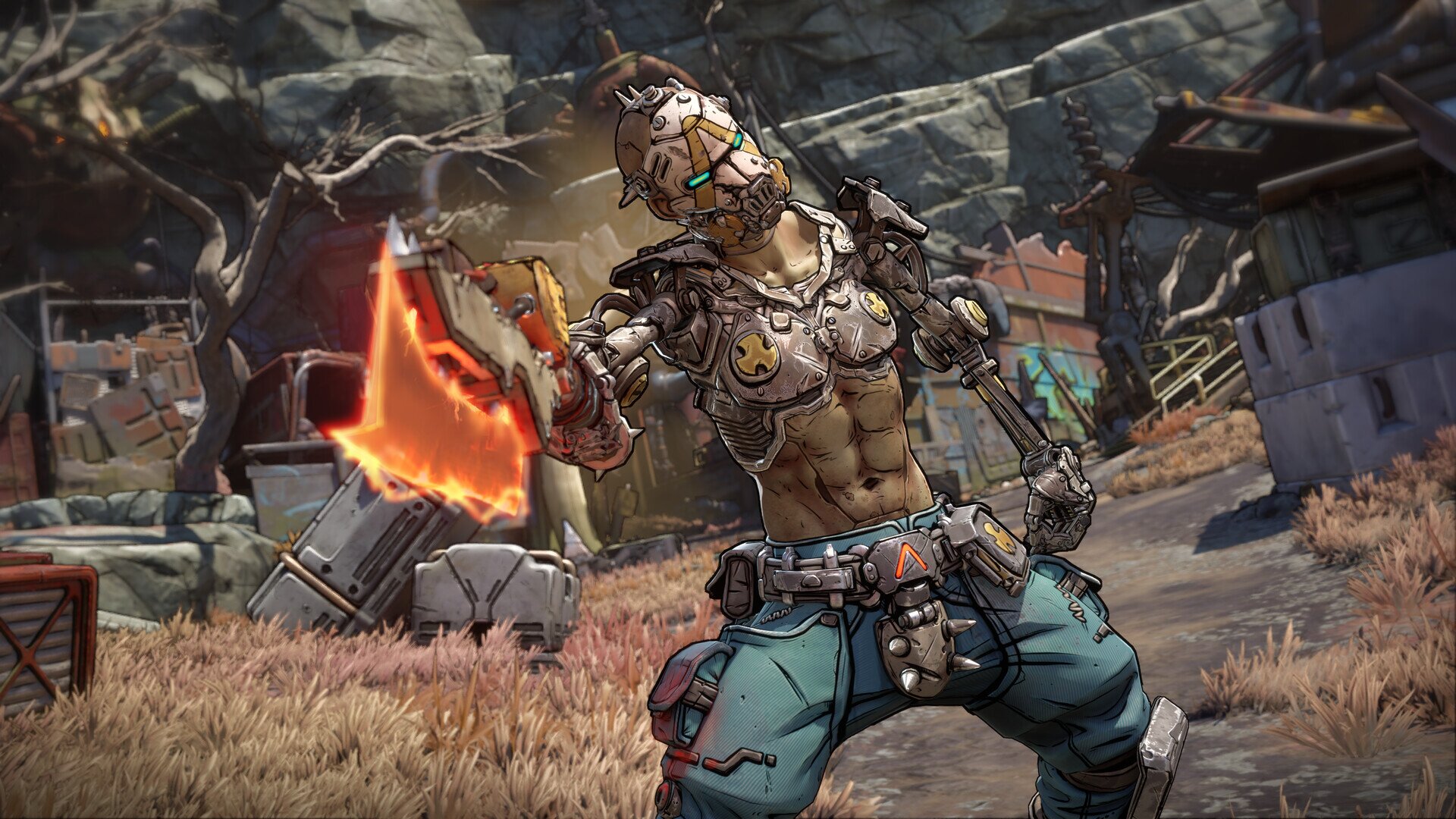 Как включить русский язык в Borderlands 4