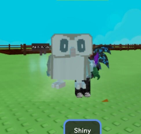 Все про сову сипуху в Roblox Grow a Garden: что делает и как получить