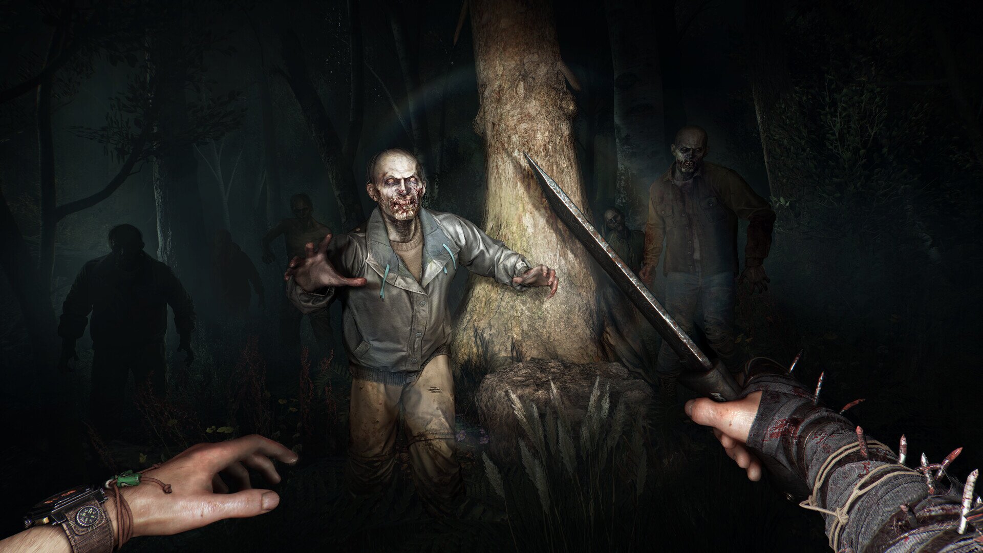 Все рабочие докет коды для Dying Light The Beast