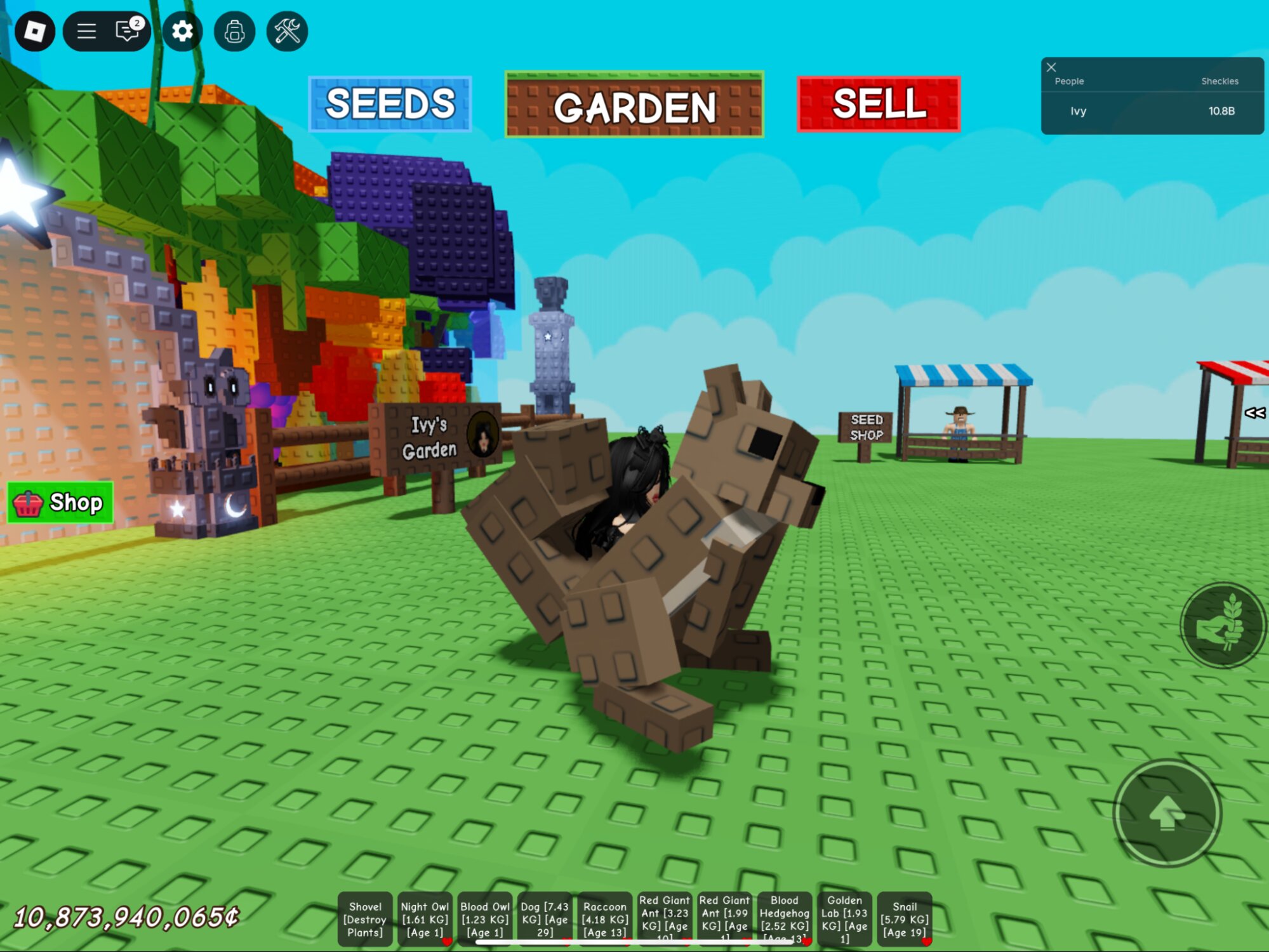 Все про белку в Roblox Grow a Garden: что делает и как получить