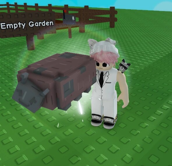Все про божью коровку в Roblox Grow a Garden: что делает и как получить