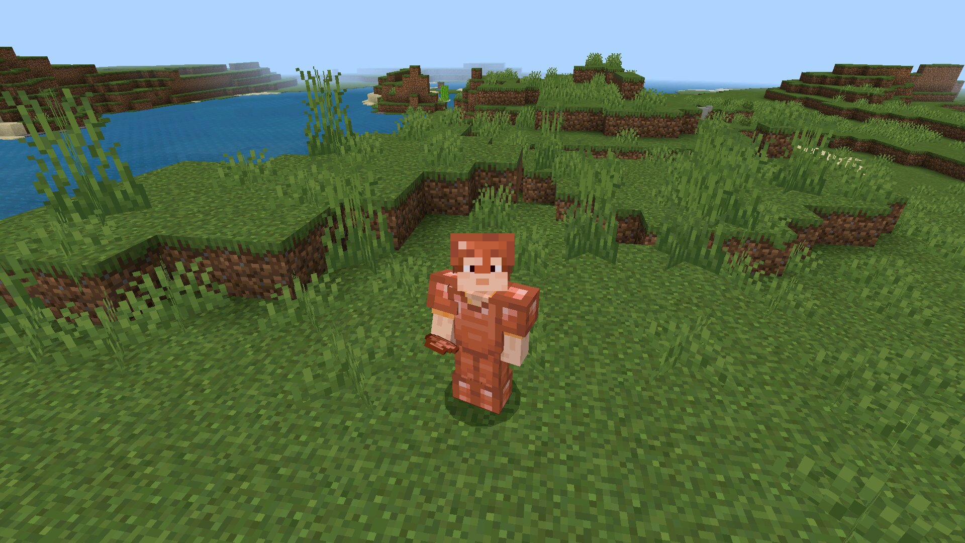 Броня в Minecraft 1.21.101