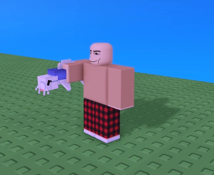 Все про кои в Roblox Grow a Garden: что делает и как получить