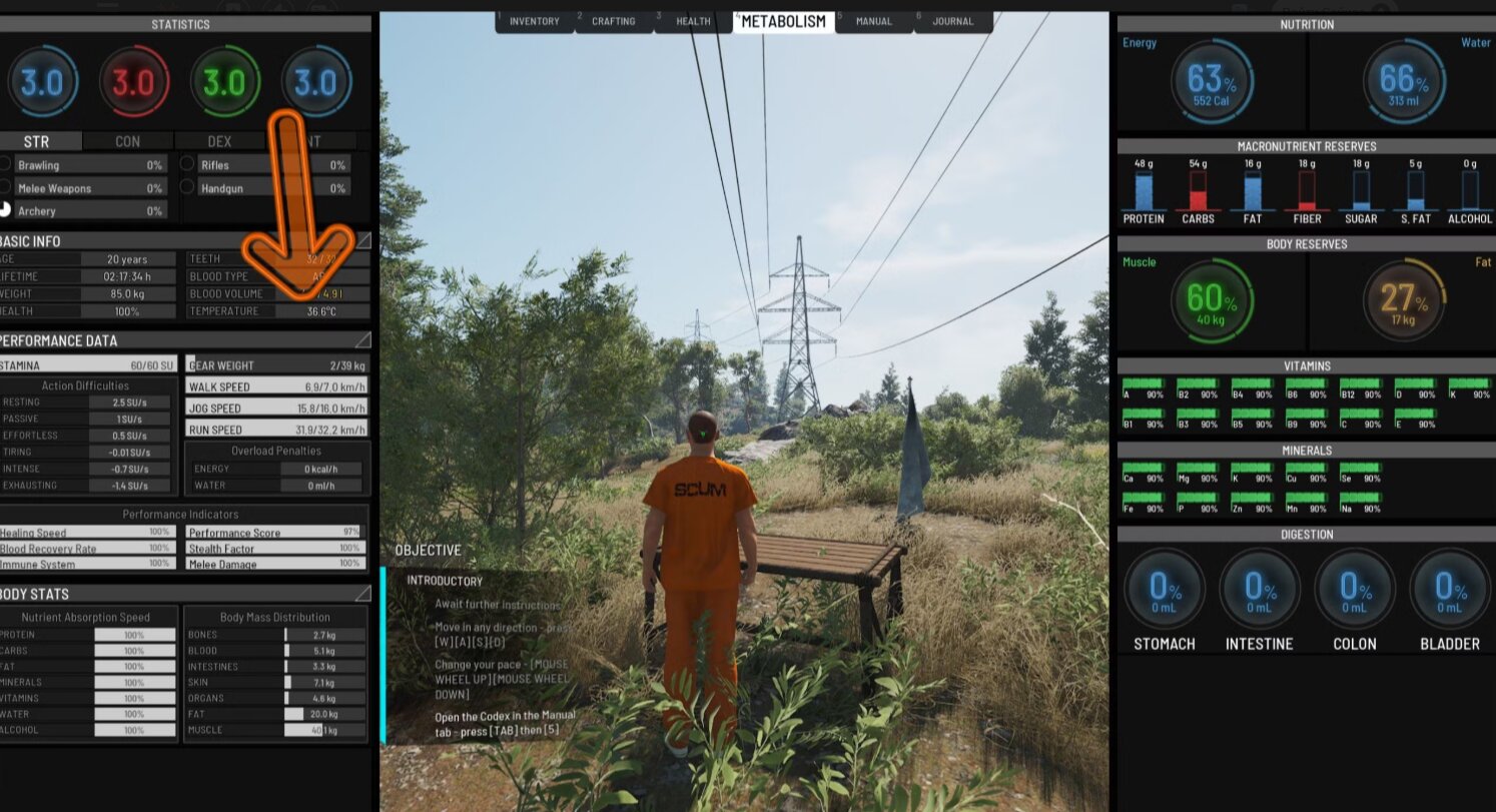 Как играть в SCUM: советы для новичков