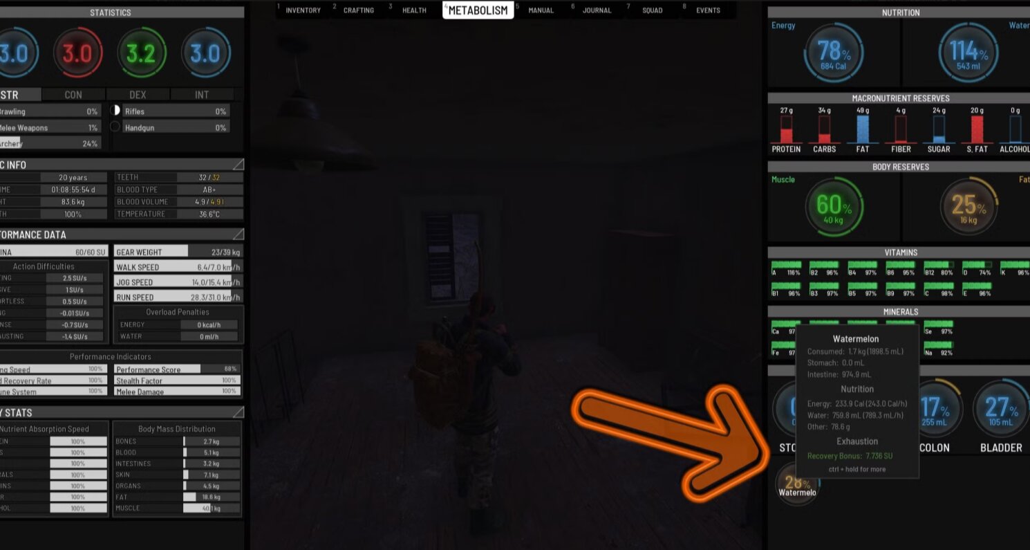 Как играть в SCUM: советы для новичков