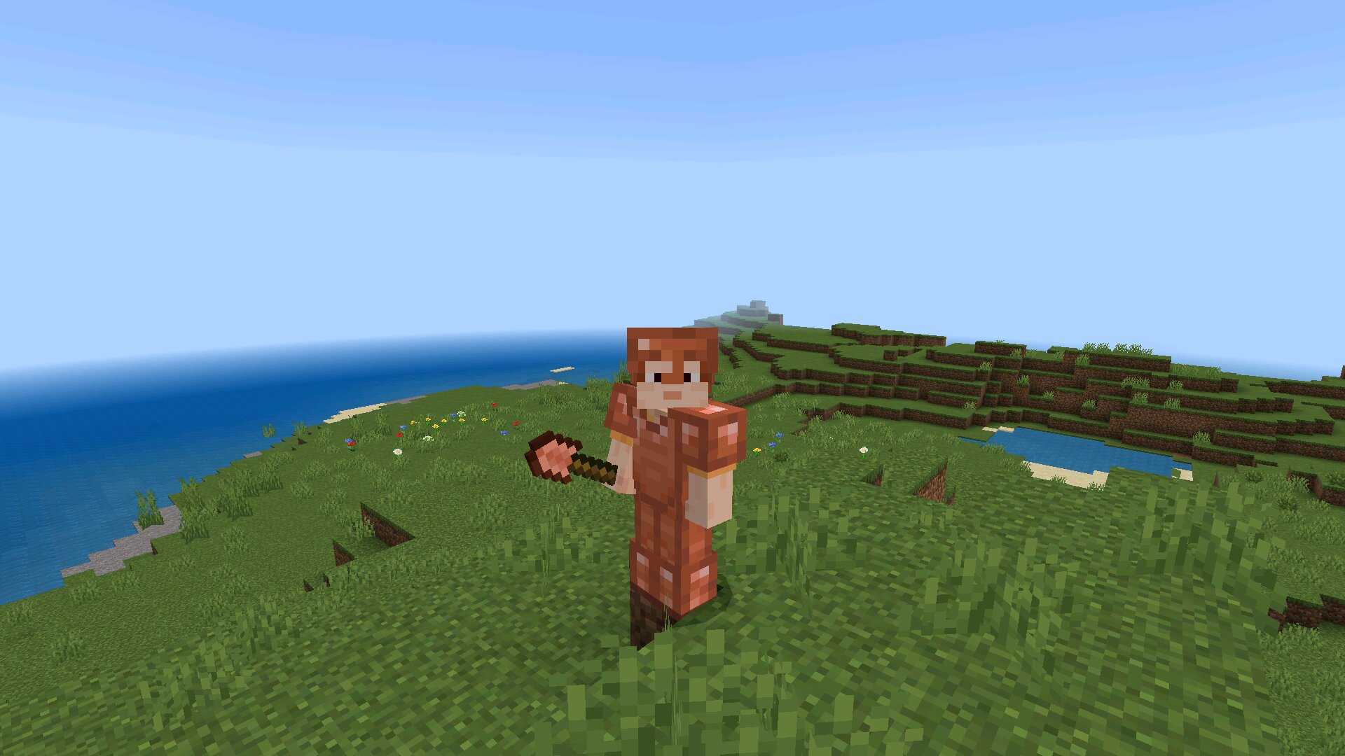 Лопата в Minecraft 1.21.101