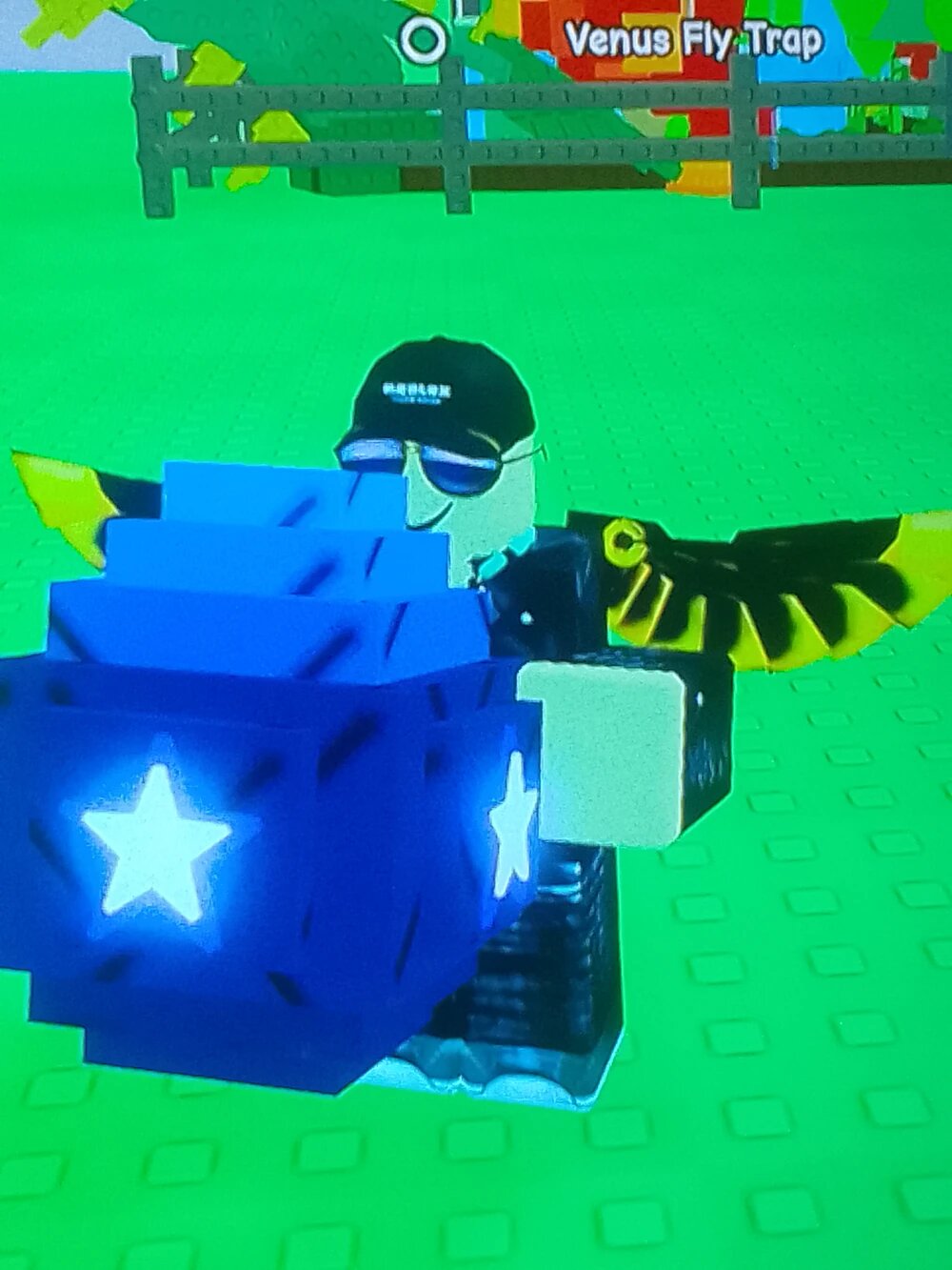 Ночное яйцо в Roblox Grow a Garden