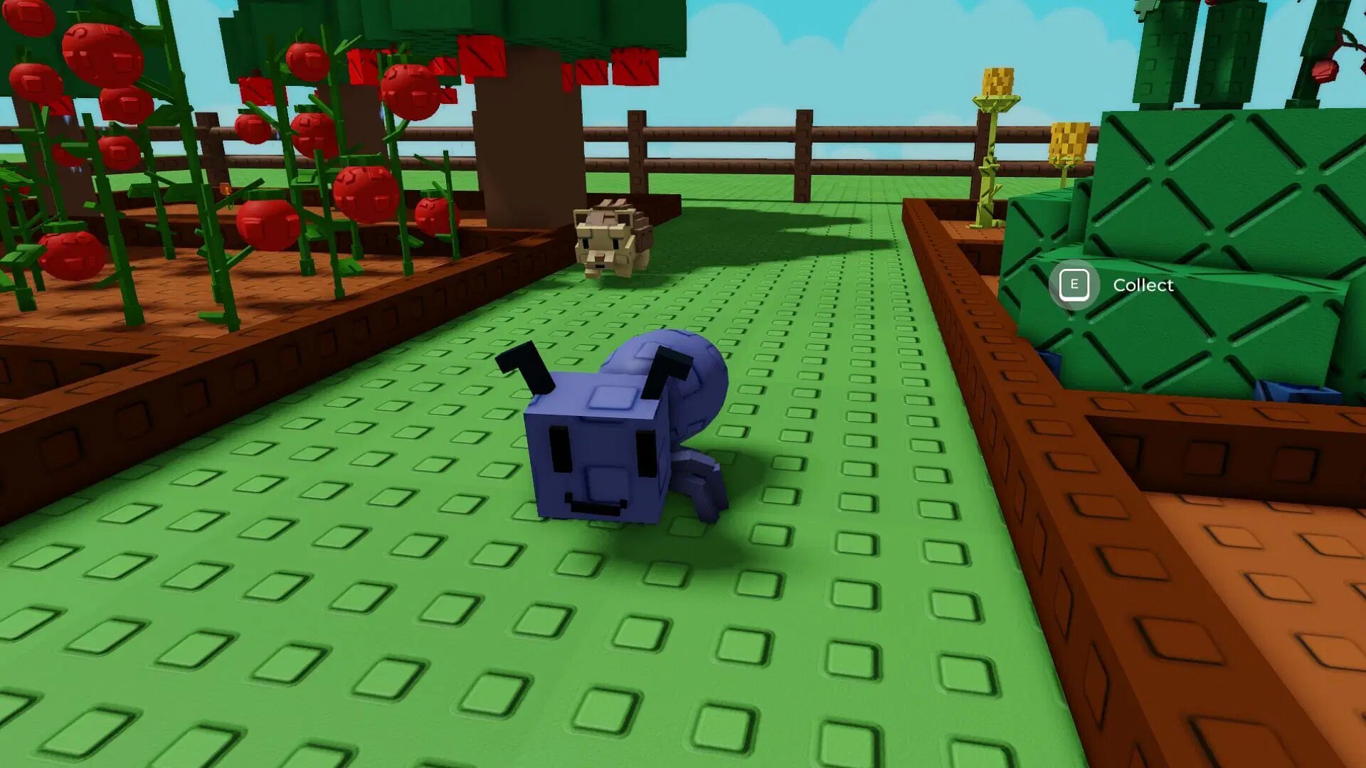 Все про муравья в Roblox Grow a Garden: что делает и как получить