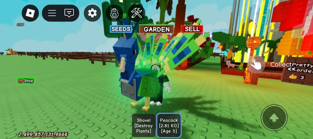 Все про павлина в Roblox Grow a Garden: что делает и как получить