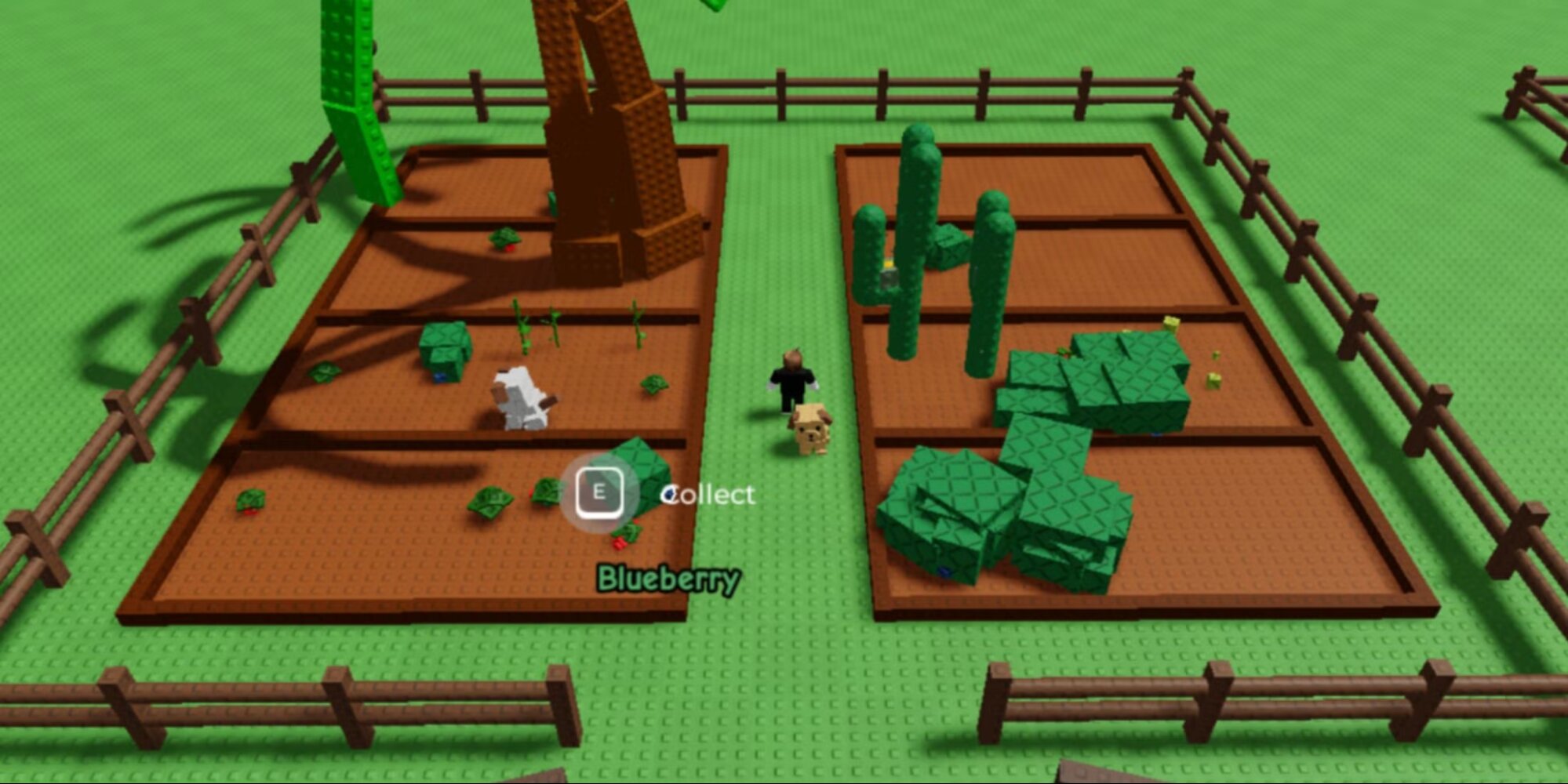 Все про смузи в Roblox Grow a Garden: как готовить