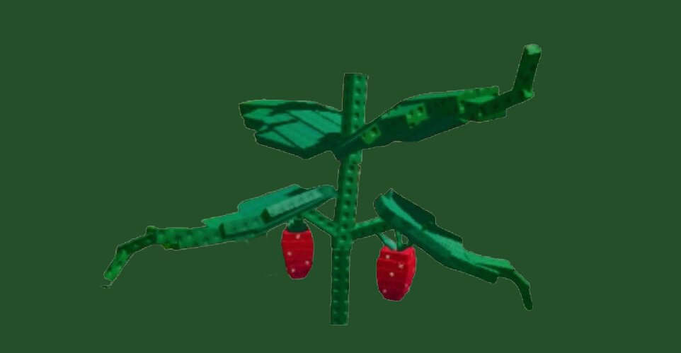 Все про Элдер Клубнику в Roblox Grow a Garden: как получить