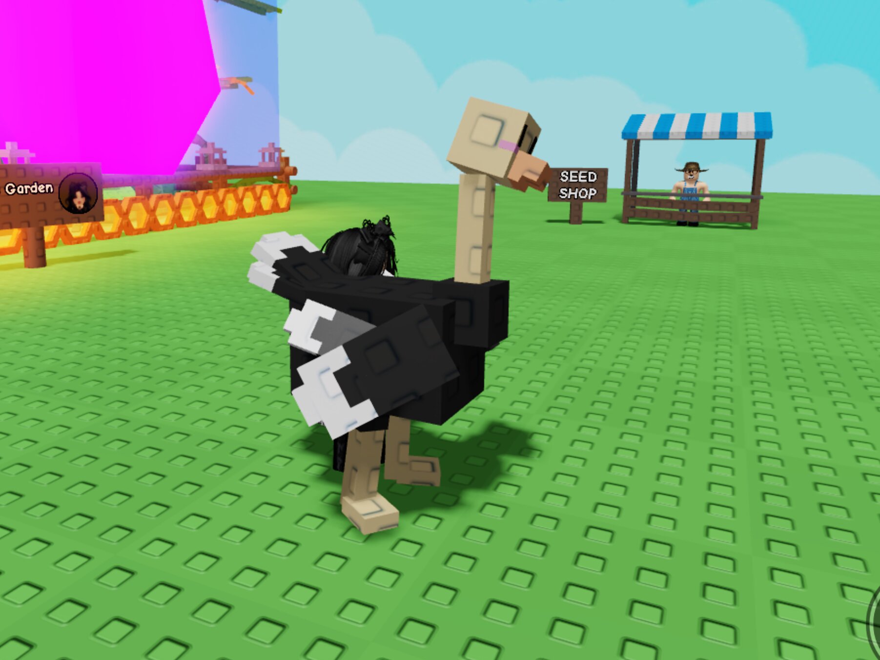 Все про страуса в Roblox Grow a Garden: что делает и как получить