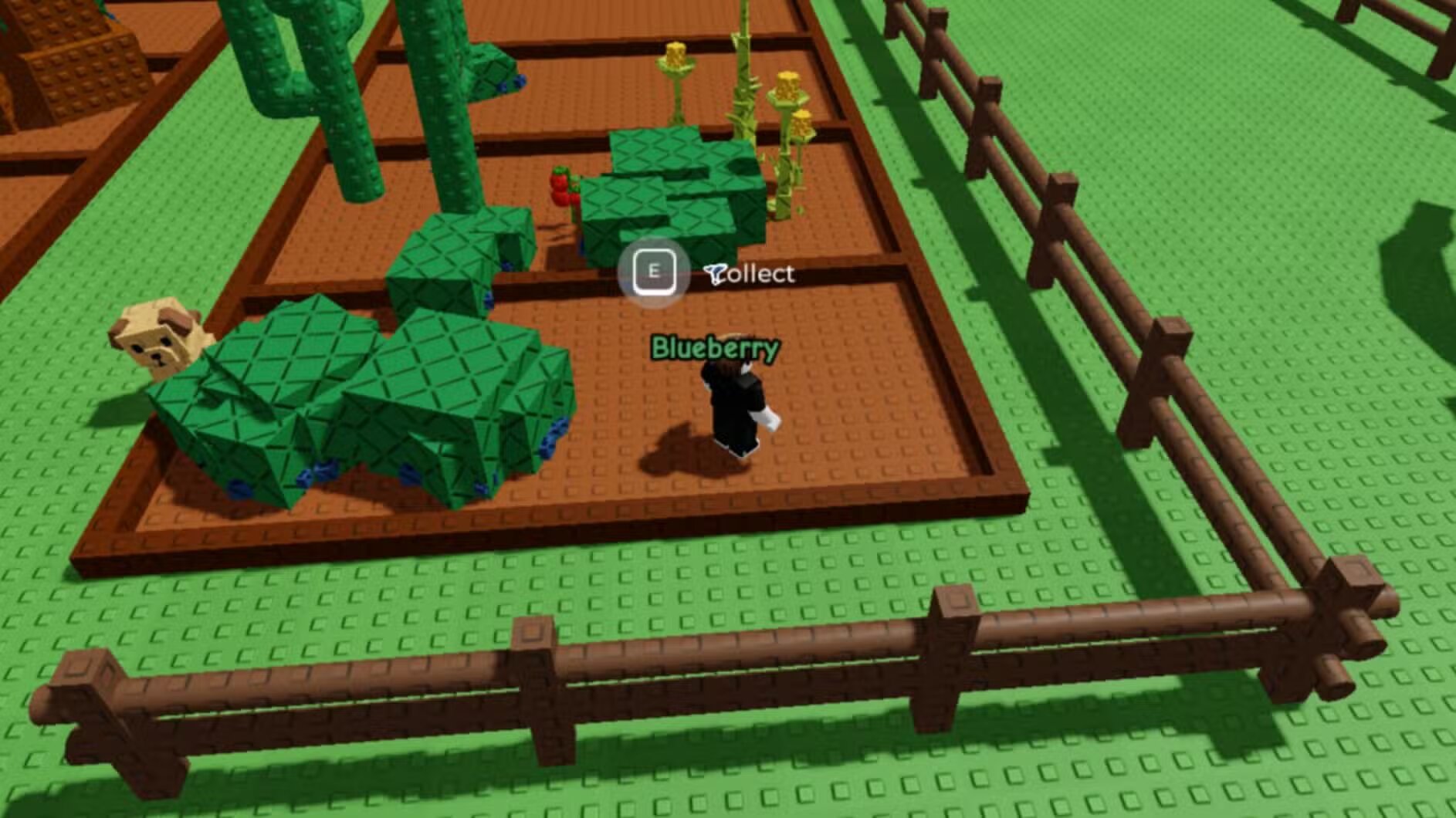 Как получить все заборы в Roblox Grow a Garden