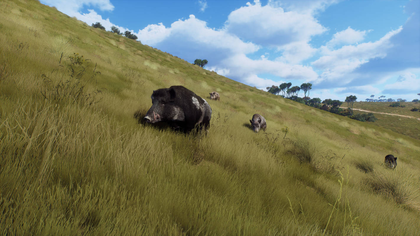 Для симулятора охоты Way of the Hunter вышло DLC «Парк Матарики»