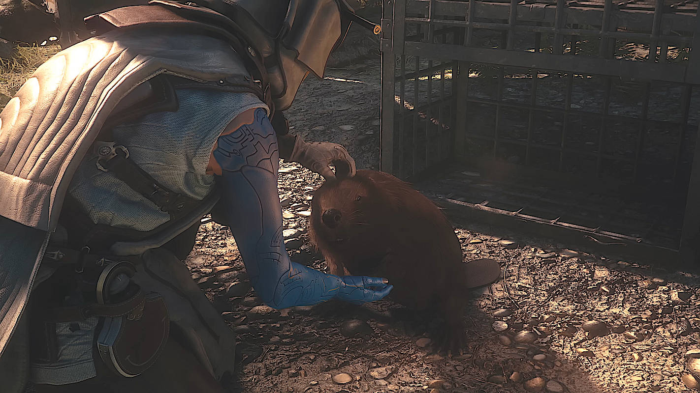В ролике MMO Soulframe показали встречу с бобром и медведем