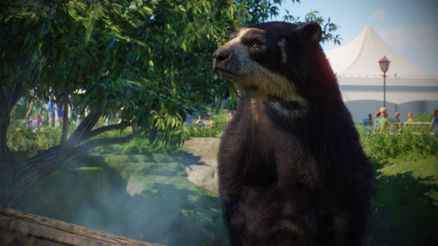 Для Planet Zoo вышло DLC с очковыми медведями и манулами