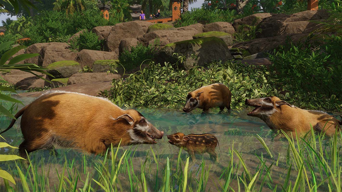 Planet Zoo – симулятор зоопарка получил «Тропический набор»