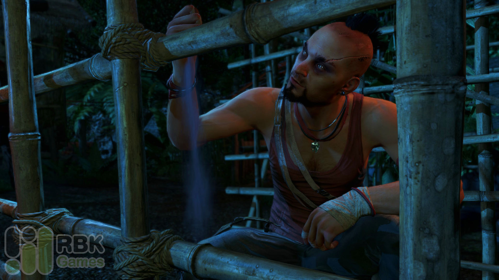 Ваас один из самых запоминающихся персонажей в Far Cry 3
