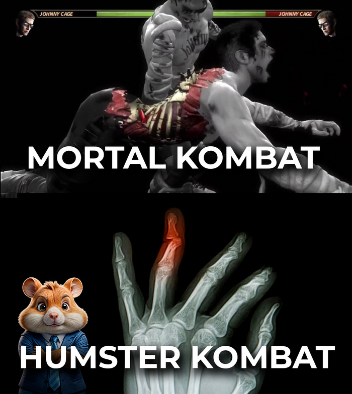 Лучшие мемы о Hamster Kombat — лучшие шутки по хомяка