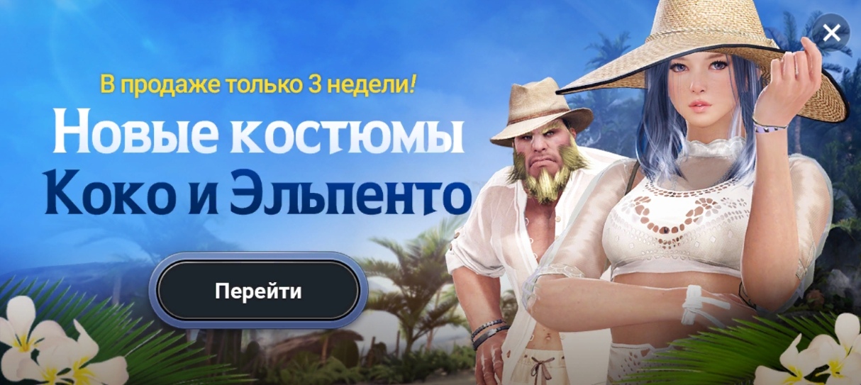 Black desert купон на изучение всех навыков транспорта